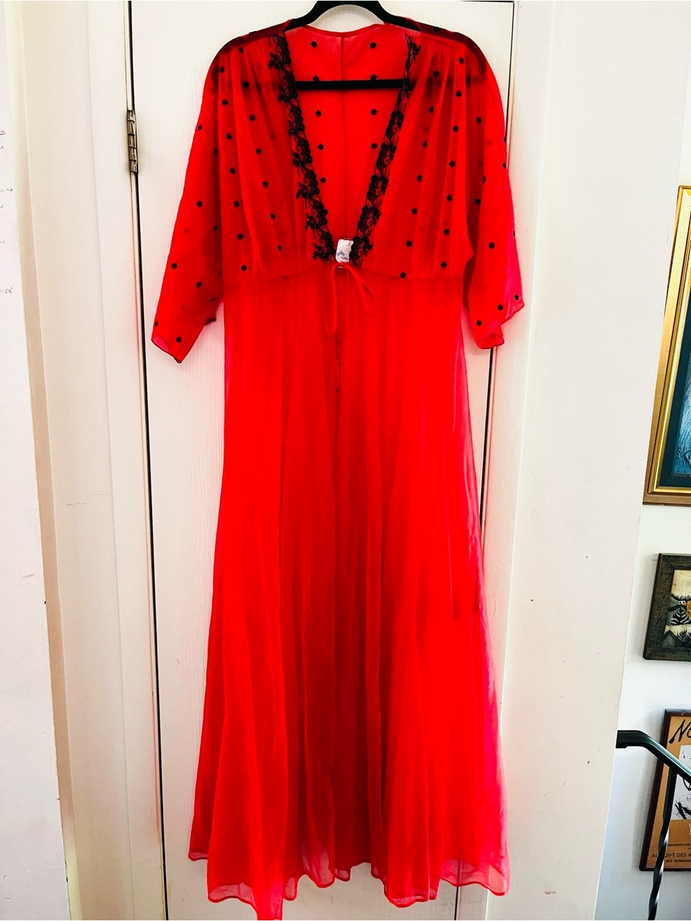 VTG Shirley Of Hollywood Embroidered Whimisgoth Boudoir Chiffon 50s Maxi Duster
